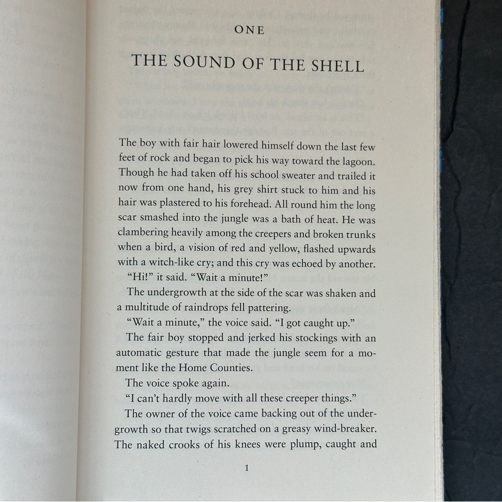 Lord of The Flies by William Golding | Fiction, Allegory | Paperback Book - Picture 10 of 10